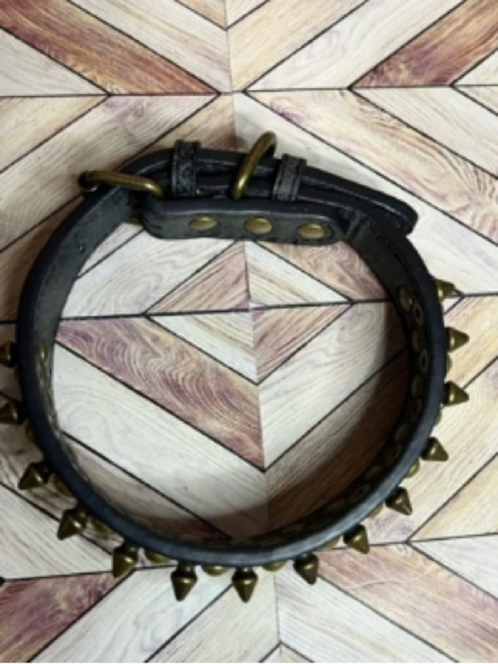 Studded Black Dog Collar with Brass Spikes